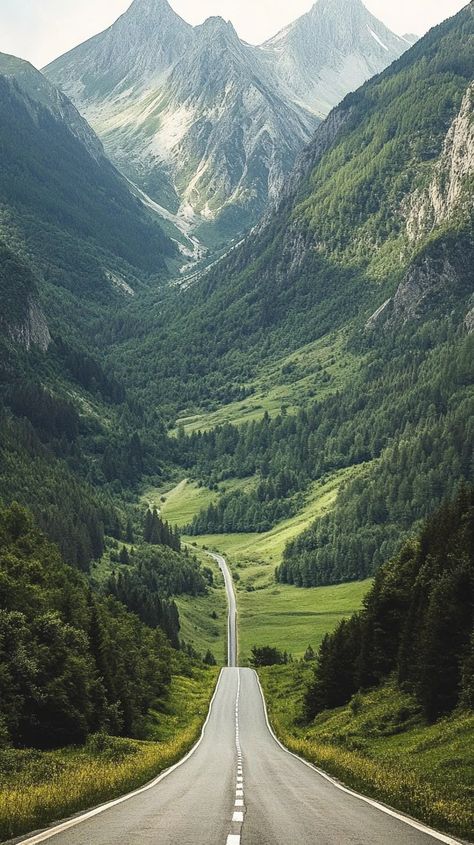 THE ROAD TO FREEDOM ACCOMPANYING THE MAGNIFICENCE OF GREEN NATURE Best Nature Wallpapers, Scenic Photos, Adventure Aesthetic, The Road Less Traveled, Road Less Traveled, Pretty Landscapes, Beautiful Landscape Wallpaper, September 23, Cool Pictures Of Nature