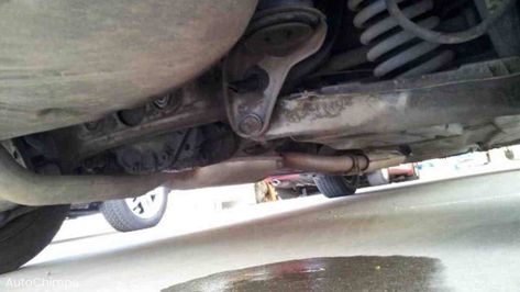 Is gas leaking from the bottom of your car? Here's what you should do: ➡️ https://autochimps.com/gas-leaking-bottom-car/ #GasLeaking #GasLeak #CarGasLeaking #CarGasLeak #carmaintenance #carrepair Vehicle Care, Car Breaks, Beautiful Beach Pictures, Bra Image, Gas Lights, Car Fuel, Old Spice, White Car, New Photo Download