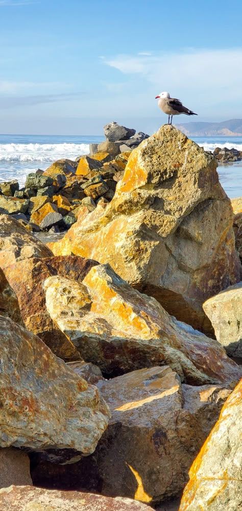 Ocean Rocks Photography, Mermaid Environment, Rocky Beach Painting, Rocky Beach Aesthetic, Tubbo Aesthetic, Rocky Sea Shore, Rocky Background, Sunset On Sea, Dsmp Aesthetic