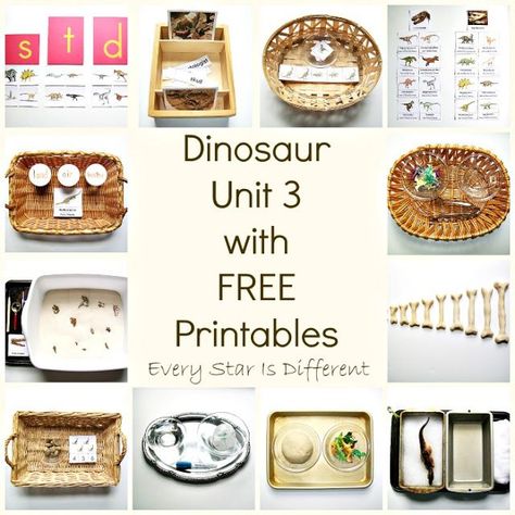 Dinosaur Unit 3 with FREE Printables - Every Star Is Different Dinosaur Learning Activities, Dinosaur Unit Study, Dinosaur Week, Dinosaur Activities Preschool, Free Educational Printables, Montessori Work, Montessori Science, Montessori Shelf, Montessori Printables