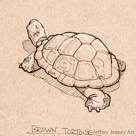 Brown Tortoise - Pen and Ink Tortoise Sketch Art, Galapagos Tortoise Drawing, Tortoise Drawing Illustrations, Tortoise Sketch, Tortoise Illustration, Trippy Tattoo Designs, Tortoise Drawing, Tortoise Tattoo, Turtle Sketch