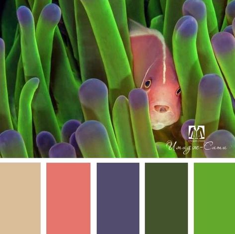 Home Color Palettes, Design Seed, Colors Chart, Painting Corner, Color Cube, Packaging Website, Colour Guide, Color Wheels, Color Schemes Colour Palettes