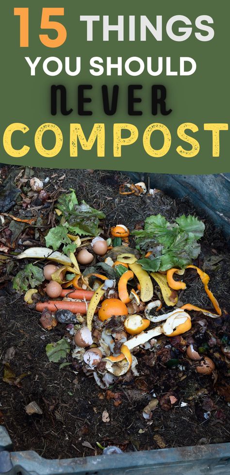 Compost For Beginners, How To Start Composting, Composting For Beginners, Composting Ideas, Start Composting, Composting 101, Make Compost, Compost Bin Diy, How To Compost