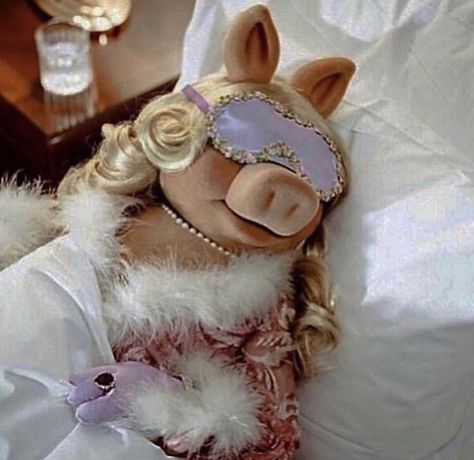 Do Not Disturb Aesthetic, Tulum Retreat, Mrs Piggy, Deeper Well, Ms Piggy, Manifest Board, Fraggle Rock, The Muppet Show, Image Chat