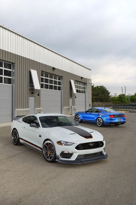 2024 Shelby Gt500, 2024 Mustang Convertible, New Edge Mustang Gt, Mustang Gt 2024, Ford Gt500, 2024 Mustang, 2020 Corvette, Twin Disc, Mustang Mach 1