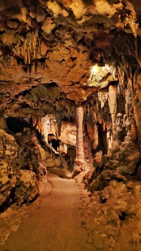 Florida Caverns, Florida Caverns State Park, Letchworth State Park, Natural Cave, Cave System, Florida State Parks, Florida Springs, Cave Diving, Old Stuff