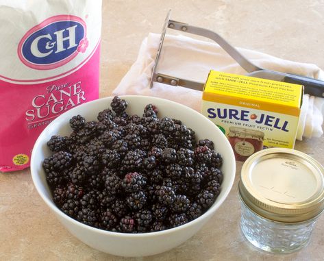 Small Batch Blackberry Jelly, Small Batch Blackberry Jam, Sure Jell Recipe, Blackberry Jelly Recipe, Homemade Blackberry Jam, Blackberry Jam Recipes, Jalapeno Jelly, Homemade Truffles, Canning Kitchen