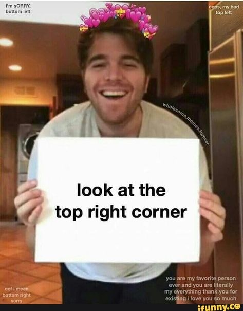 Shane Dawson Memes, Heart Memes, Crush Memes, Cute Love Memes, Shane Dawson, Dc Memes, Pinterest Memes, You Are My Favorite, Cute Messages