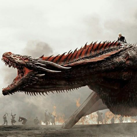 Targaryen Daenerys, Drogon Game Of Thrones, Hotd Dragons, Queen Of Dragons, Got Dragons, Game Of Thrones Dragons, Got Game Of Thrones, Targaryen Art, Targaryen Aesthetic