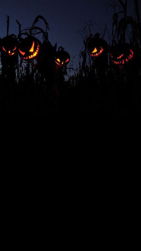 Iphone Wallpaper Spooky Aesthetic, Halloween Aesthetic Phone Wallpaper, Dark Halloween Iphone Wallpaper, Halloween Dark Aesthetic Wallpaper, Halloween Wallpaper Iphone Aesthetic Dark, Spooky Phone Backgrounds, Dark Fall Wallpaper Iphone, Halloween Screensavers Iphone Wallpapers, Halloween Dark Wallpaper