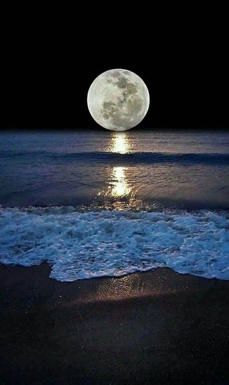 I love the ocean and it says to me that there is a whole world out there. I just need to be brave to take the first step. The Ocean, The Moon, Moon, The World, Water