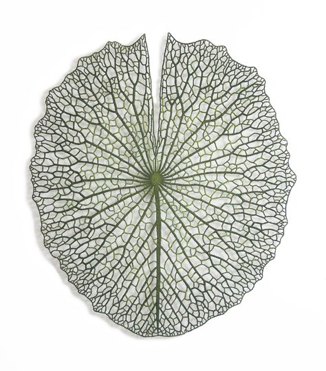 Meredith Woolnough, Leaf Artwork, Paper Embroidery, Arte Floral, Natural Forms, Water Lily, Embroidery Techniques, Patterns In Nature, The Shape