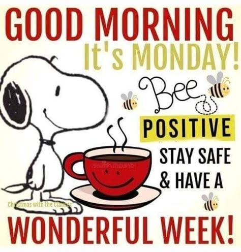 Monday Pictures, Happy Monday Morning, Happy Monday Quotes, Monday Morning Quotes, Good Morning Snoopy, Good Monday Morning, Good Morning Monday, Good Morning Happy Monday, Snoopy Dog