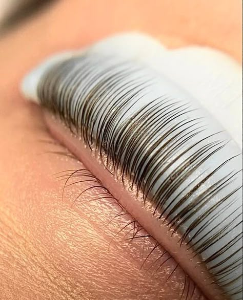 Lash Lift Photography, Gold Lash Aesthetic, Lash Lift Content, Lash Lift Aesthetic, Lash Tint And Lift, Lash Appointment, Eyelash Lift And Tint, Lash Lift And Tint, Blush Pink Nails