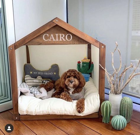 Small Dog Crate Ideas, Indoor Dog House Diy, Dog Bedroom Ideas, Stairs Dog House, Dog House Inside, Dog House Ideas, Under Stairs Dog House, Fancy Dog Beds, Wood Couch