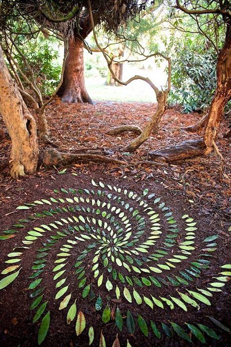 Land Art Ephemeral Art James Brunt Mandalas Mandala Stones Nature Mandala, Ephemeral Art, Steam Projects, Art Pierre, Earth Art, Foto Tips, Mandala Stones, Nature Crafts, Zoology