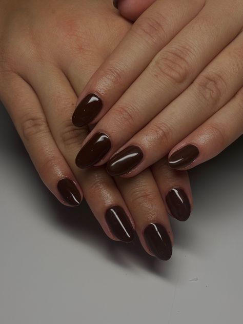 #nails #brown #brownnails #almond #almondnails #aesthetic #fashion #naildesign #nailideas #fall #fallnails Brown Oval Nails, Black Nails Short, Resident Evil Oc, Evil Oc, Oval Acrylic Nails, Oval Shaped Nails, Brown Acrylic Nails, Nails Brown, Edgy Nails