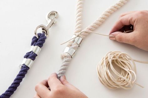 DIY This Ombre Rope Leash for Your Stylish Pup Diy Dog Leash, Dog Leash Diy, Diy Dog Collar, Rope Dog Leash, Dog Milk, Collars Diy, Dog Diy, Dog Business, Rope Leash