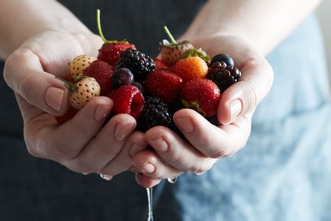 To wash, or not to wash? That is the ever-present question that looms when we return home with our berry haul. These sweet summer gems are delicate, and unless you’re lucky enough to pull them from your garden or backyard, most of them don’t come cheap. You want to treat them right, and if possible, even prolong their shelf life. When it comes to washing berries, the when and why depends on the type of berry you’re dealing with. Making Quinoa, Tips For Cooking, Kitchen Tricks, Food Scientist, Cooking Tips And Tricks, Acai Berry, Fresh Fruits, Food Facts, Fresh Berries