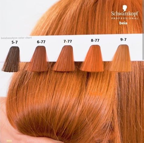 Igora Hair Color, Copper Blonde Hair Color, Cheveux Oranges, Hair Color Orange, Strawberry Blonde Hair Color, Different Shades Of Red, Hair Color Formulas, Ginger Hair Color, Hair Color Auburn