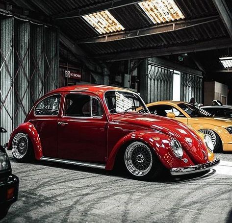 Volkswagen Aircooled, Vw Sedan, Bug Beetle, Vw Classic, Beetle Car, Vw Beetle Classic, Volkswagen Bug, Vw Vintage, Vw Aircooled