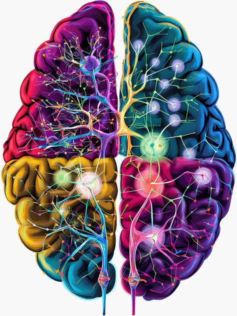 ""Vibrant Neural Network Brain Illustration - Science and Art Combined"" Sticker for Sale by WatermelonPink | Redbubble Brain Illustration Design, Brain Graphic Design, Human Brain Art, Neural Network Art, Brain Maps, Brain Artwork, Molecule Art, Brain Neurons, Brain Graphic