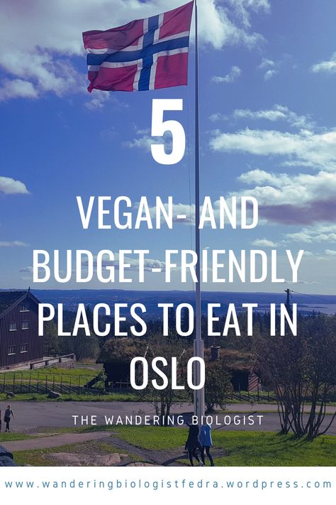 Oslo Food, Oslo Travel Guide, Delicious Vegan Food, Oslo Travel, Norway Trip, Visit Oslo, Best Vegan Restaurants, Exchange Program, Food Spot