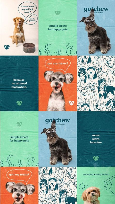 Gotchew is a brand that sells pet training treats 💗 The heart behind this brand is to provide pet owners with high motivational, healthy treats to encourage pets to move, learn, and have fun! Key words for this brand are: Energetic, Simple, Wholesome, Playful, and Honest. Disclaimer: this is a Passion Project, not a real brand. Playful Poster Design, Pet Background, Dog Treat Packaging, Care Illustration, Dog Marketing, Pet Food Packaging, Poster Social Media, Pet Branding, Media Branding Design