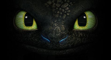 Full Poster Released for DreamWorks' 'How to Train Your Dragon 2' http://www.rotoscopers.com/2013/11/21/full-poster-released-dreamworks-how-to-train-your-dragon-2/ Toothless Wallpaper, Night Fury Dragon, Toothless Dragon, Hiccup And Toothless, Dragon Face, Illustration Manga, Dreamworks Dragons, Dragon Party, New Dragon