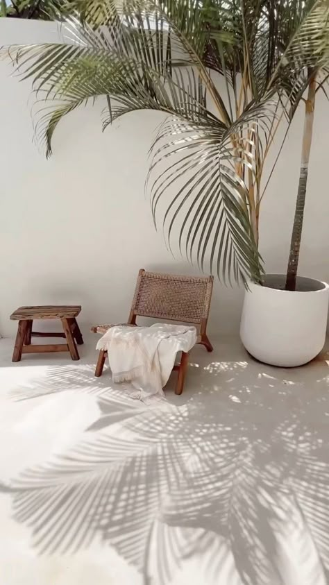 Lavender Latte, White Room, Beige Aesthetic, Aesthetic Images, White Aesthetic, Summer Aesthetic, Pistachio, Home Inspo, Palm Tree