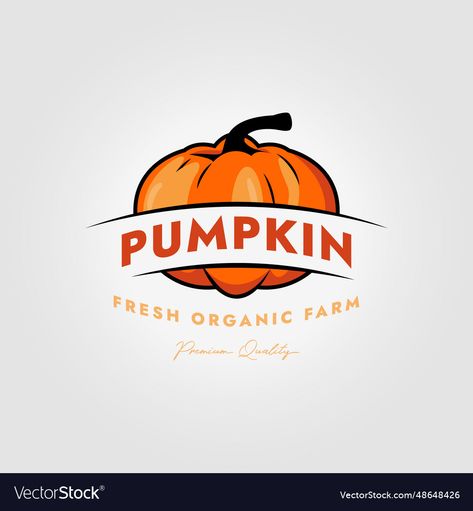 Pumpkin Logo Design, Pumpkin Logo, Vintage Pumpkin, Design Vector, Transparent Png, Vector Logo, Vector Design, Png Images, Illustration Design