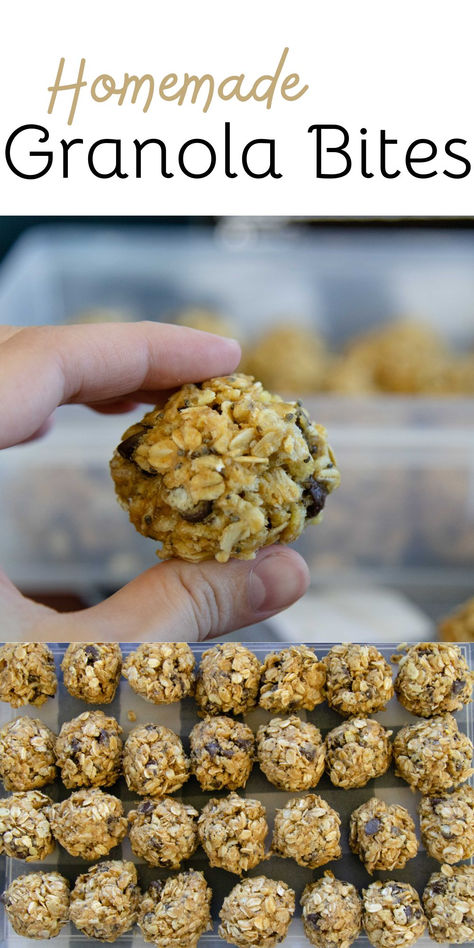 Indulge without guilt by making these delicious Homemade Granola Bites! This no-bake recipe from Small Town Scratch is the perfect solution for all your sweet cravings. With wholesome ingredients and a flavour burst from chocolate chips, it's never been easier to enjoy a healthy treat. #easysnack #healthysnack #snackideas #no-bake #simple #easysnackideas #granolabites #homemade #homemadegranolabites #funinthekitchen #snacklover #kidfriendly Diy Granola Bars, Granola Bar Recipe Healthy, Healthy Homemade Granola, Granola Bar Recipe, Granola Snacks, Granola Cookies, Chocolate Chip Granola Bars, Homemade Granola Healthy, Granola Bites