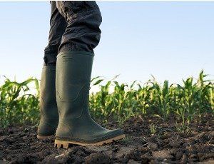 farmer standing in field in rubber boots Snake Proof Boots, Spa Hacks, Speech Topics, Mother Health, Crisis Intervention, Corn Field, Snake Boots, Snake Bite, Mental Health Crisis