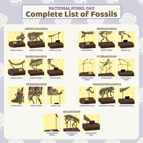 Acnh Fossil List, Acnh Fossil Display, Acnh Fossil, Fossil Display, Museum Ideas, Museum Displays, Animal Crossing, Fossil, Nintendo Switch