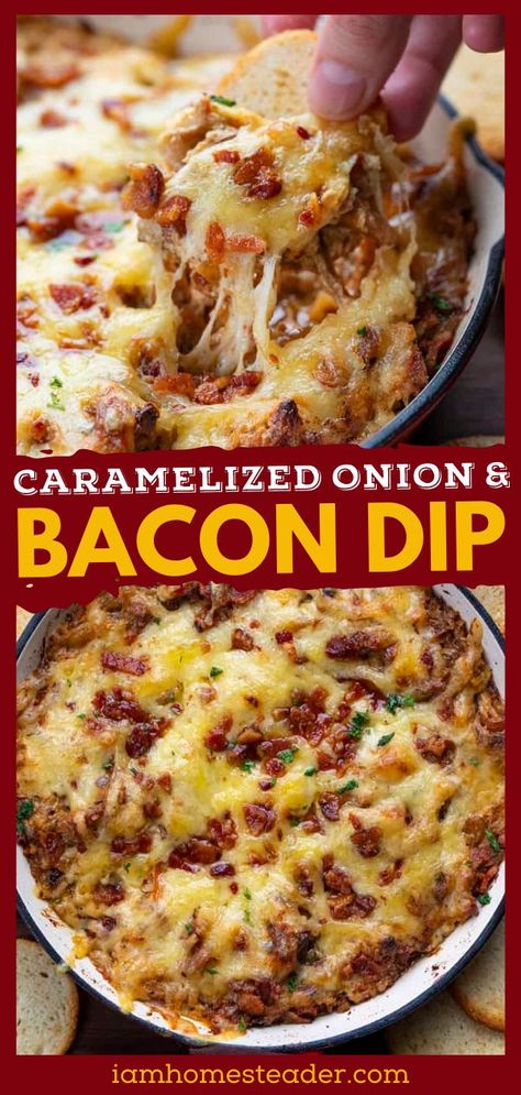 New Years Dips, Hot Bacon Dip, Dip Recipes Savory, Main Dish Dips, Warm Appetizer Recipes, Warm Onion Dip Recipe, Warm Dips Recipes, Award Winning Dip Recipes, Warm Dips Easy