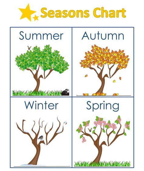 Kindergarten Seasons Worksheets Seasons Posters Classroom, Seasons Kindergarten, Season Project, Seasons Chart, Seasons Preschool, Seasons Lessons, Seasons Poster, Seasons Worksheets, Preschool Charts