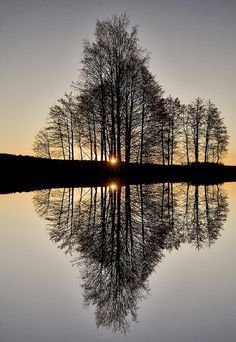 By Mixmaster Audun Bakke Andersen    This photo was taken on November 19, 2006 in Horten, Vestfold Fylke, NO, using a Canon EOS 350D Digital. Macro Fotografie, Reflection Pictures, Image Nature, Foto Tips, Still Water, Beautiful Tree, Beautiful Photography, Scandinavia, Amazing Nature