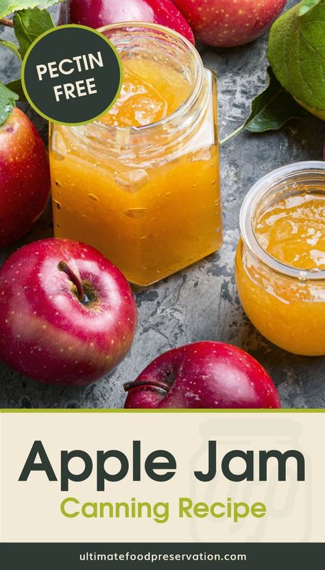 Want to learn how to make apple jam? Try this easy homemade apple jam recipe that's made without pectin. This fall recipe is a fun way to preserve apples and is a total pantry staple. This is also an easy canning recipe for beginners since it includes a step-by-step procedure on how to can jam at home. | More jam and jelly recipes at ultimatefoodpreservation.com #jamrecipes #homemadejam #howtomakejam #canningjam #veganrecipes #fallapplerecipes Apple Jam Without Pectin, Canning Recipes Jam, Canned Apple Jam, Apple Jam Canning Recipes, Canning Apple Jam, How To Make Apple Jam, Apple Recipes Canning, Ways To Preserve Apples, Apple Jam Recipe Easy