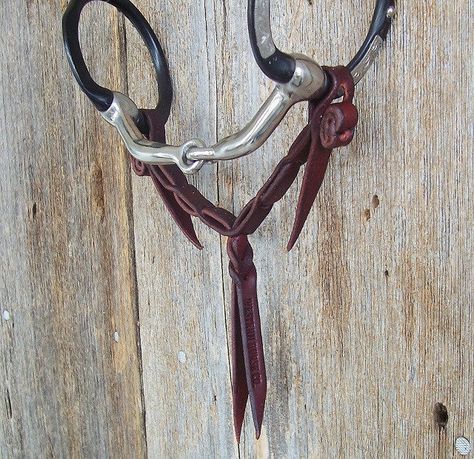 Tack Board, Western Bridles, Snaffle Bit, Equestrian Helmet, Cowboy Gear, Cowboy Stuff, Western Tack, Horse Equipment, Horse Gear