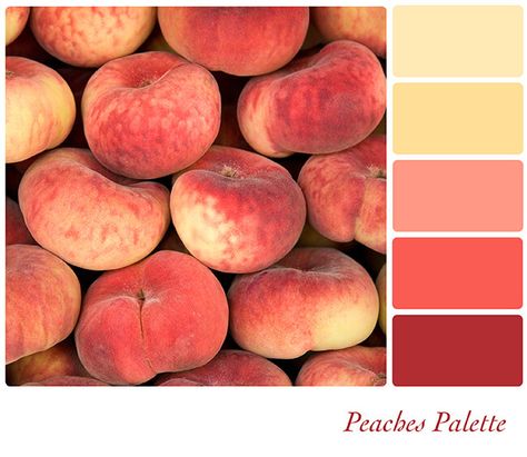 Peach Color Palettes, Color Durazno, Pantone 2024, Peach Palette, Elements Of Color, Shingle Colors, Peach Background, Hue Color, Peach Fruit