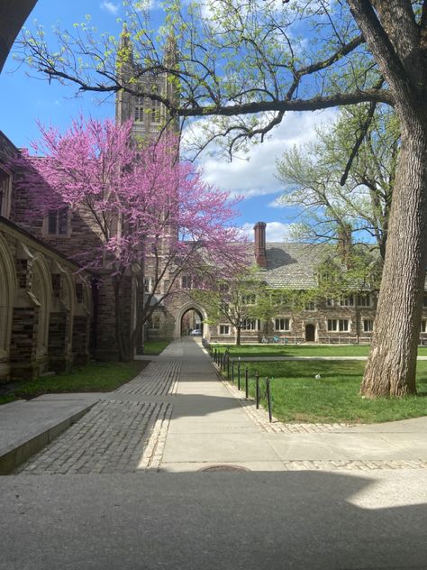 Princeton University Aesthetic Campus, Prinston University Aesthetic, Rich University Aesthetic, Prinston University, Pretty Universities, Princeton Dorm, Princeton University Dorms, Princeton Aesthetic, Princeton University Aesthetic