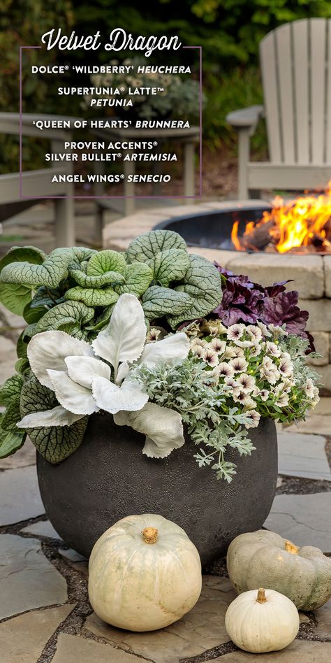 Large Container Planting Ideas Shade, Fall Containers Planters Shade, Fall Potted Plants Front Porches Shade, Garden Pot Plant Ideas, Large Flower Pots Outdoor Porch, Heuchera In Containers, Fall Outdoor Plants And Flowers, Fall Garden Inspiration, Fall Outdoor Container Arrangements