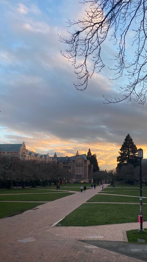 College University Campus, Tommen College Aesthetic, College Asethic, College Asthetics Photos, University Of Washington Aesthetic, University Aesthetic Campus, Aesthetic College Life, University Campus Aesthetic, Tommen College