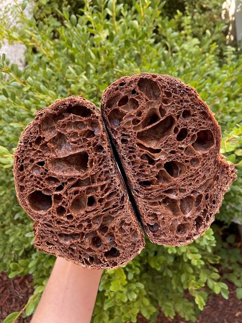 Chocolate Sourdough Bread - Natasha's Baking Easy Chocolate Sourdough Bread, Sourdough Bread Chocolate, Chocolate Sour Dough Bread, Sourdough Chocolate Bread, Flavored Sourdough Bread, Chocolate Sourdough Bread Recipe, Flavored Sourdough, Sourdough Basics, Chocolate Sourdough Bread