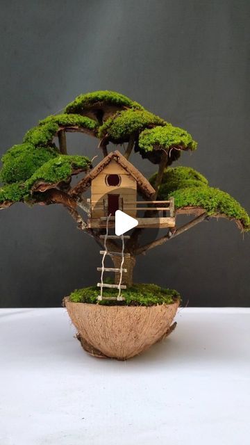 Creative Tree Decorating Ideas, Moss Tree Diy, Coconut Craft Ideas, Craft With Coconut Shell, Wealth Out Of Waste Craft Ideas, What To Make With Cardboard, Miniature Crafts Diy Ideas, Coconut Shell Crafts Diy, Coconut Shell Art