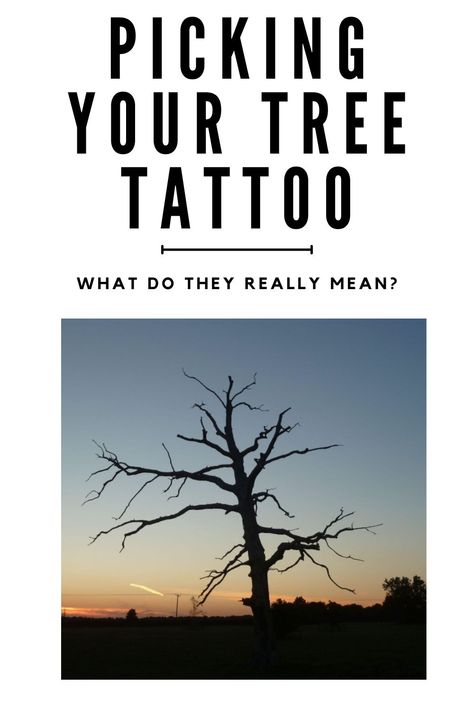 Check out a quick visual guide to see tree tattoos and their meanings. Tree Of Life Tattoo Minimalist, Sitka Tree Tattoo, Oak Tattoo Tree, Thigh Tree Tattoo, American Traditional Tree Tattoo, Yew Tree Tattoo, Tree Sleeve Tattoo For Men, Alder Tree Tattoo, Tree Tattoo Designs Men