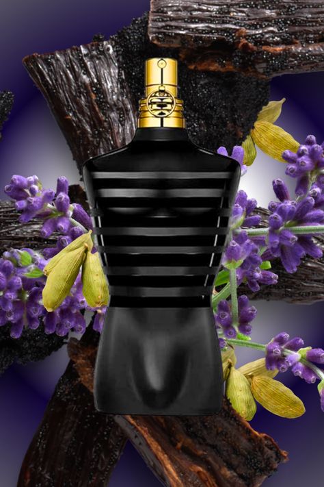 Le Male Le Parfum by Jean Paul Gaultier is a Amber fragrance for men. Le Male Le Parfum was launched in 2020. Le Male Le Parfum was created by Quentin Bisch and Natalie Gracia-Cetto. Top note is Cardamom; middle notes are Lavender and Iris; base notes are Vanilla, Oriental notes and Woodsy Notes. Jean Paul Gaultier Le Male Le Parfum, Mens Perfumes, Jean Paul Gaultier Perfume, Jean Paul Gaultier Le Male, Best Perfume For Men, Money Pictures, Le Male, Best Perfume, Crowd Pleaser