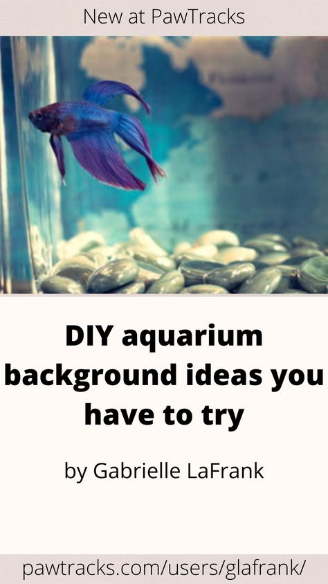 It’s important to read up on your fish’s needs so you’ll know what’s required of you, but it’s also fun to experiment a little when it comes to tank decoration. If you’re feeling extra creative, you can even make your own aquarium background to add an extra layer of depth to your fish’s tank. Read on to find out how. Fish Tank Background Diy, Fish Tank Background Ideas, Aquarium Backgrounds Wallpapers, Diy Fish Tank Decor, Aquarium Background Diy, Aquarium Background Ideas, Aquarium Decorations Diy, Diy Fish Tank Decorations, Cool Fish Tank Ideas