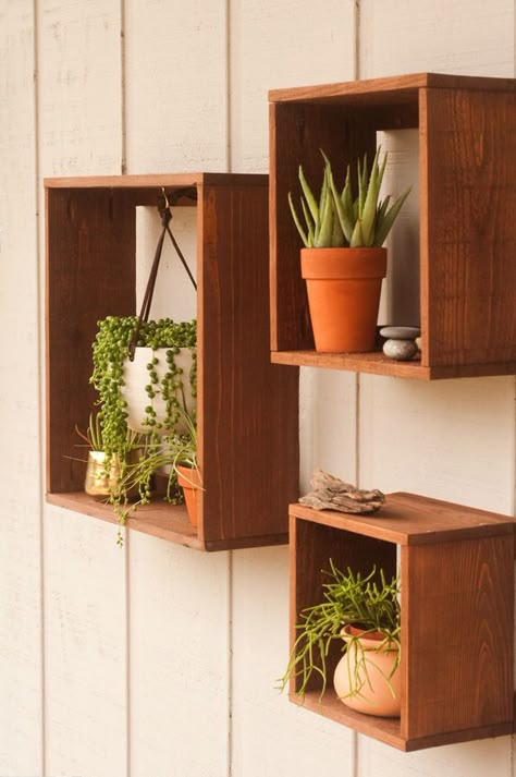 Easy to make and super affordable, these boxes give your pots and hanging planters a cohesive look and bring some life into any space. And they cost less than $3 each! Published in partnership with @homedepot Float Shelf, Boxes Diy, Floating Plants, Plant Box, Box Shelves, Hal Decor, Wood Floating Shelves, Plant Shelves, Diy Shelves