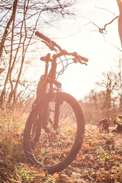 Biking Aesthetic, Mountain Biking Quotes, Mountain Biking Photography, Bicycle Photography, Mountain Bike Art, Mountain Biking Women, Mountain Biking Gear, Camping Inspiration, Skating Aesthetic